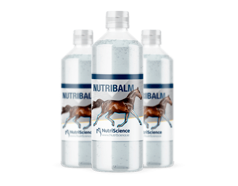 Nutribalm-500