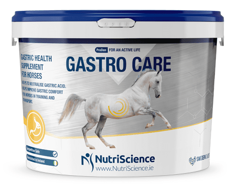 Gastrocare-Urun-Foto-Yan-Govde