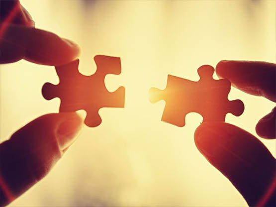 29 ocak Dünya Puzzle Günü