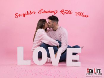 Sevgililer Gününüz Kutlu Olsun! Aşkı ve Güzelliği Paylaşın