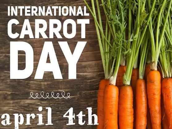 4 Nisan Dünya Havuç Günü Nisan Ayı Önemli Günle