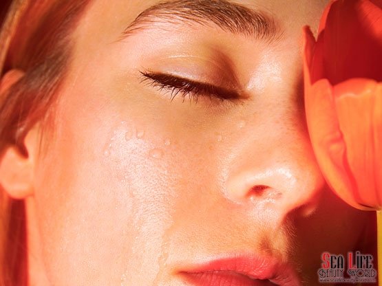 Yaz Aylarında Cilt Bakımı Nemi Eksik Etmeyin Ankara'da En Iyi Ci