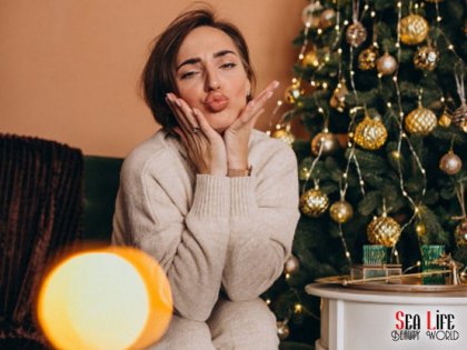 Yeni Yıla Işıltılı Bir Ciltle Girin