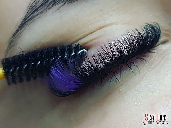 Sea-Life-Beauty-World-Ipek-Kirpik