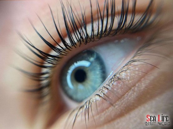 Ankara Kızılay’da Kirpik Lifting | Yılbaşı Öncesi Doğal Bakışlar