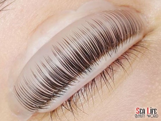 Ankara-Kirpik-Lifting-Uygulama-Detay