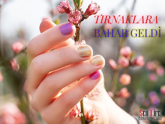 Ankara Protez Tırnak Trendleri | Bahar Modelleri ve Fiyatları