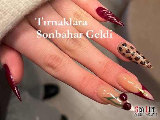 Ankara Protez Tırnak Sonbahar Modası | Sonbaharın Renkleri Tırnaklarında