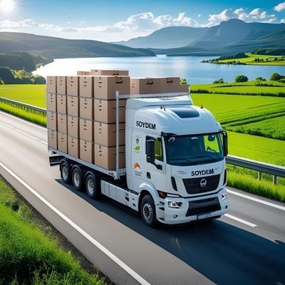 Istanbul-Asansorlu-Ev-Tasima-Hizmeti-Nasil-Yapilir (2)