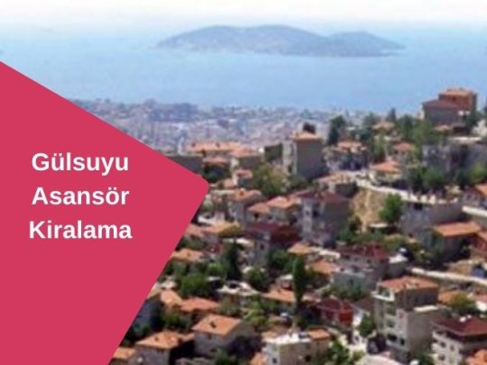 Gülsuyu Kiralık Asansör: Hızlı, Güvenli ve Ekonomik Taşıma Çözümleri