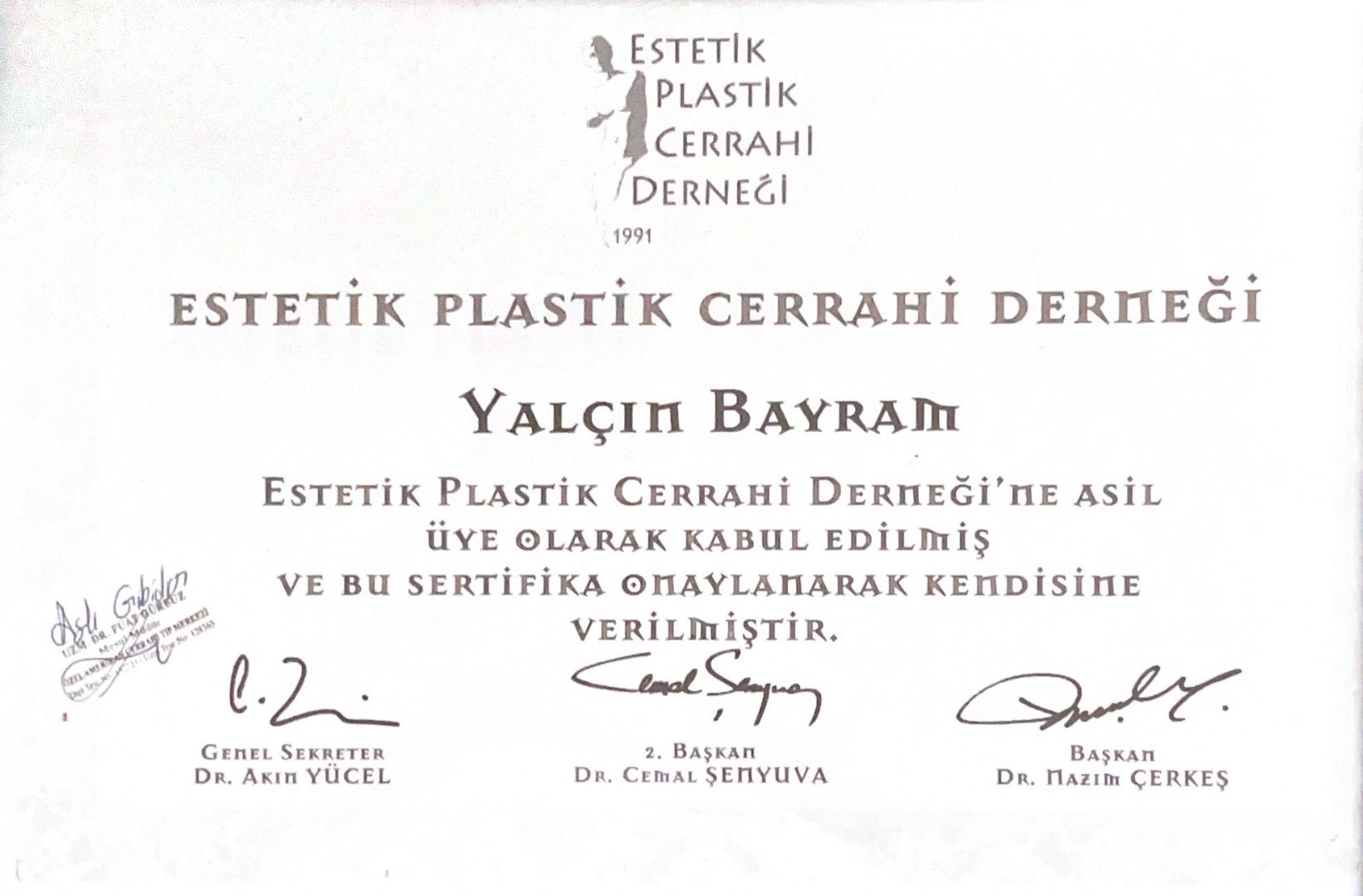 Aesthetic Plastic Surgery Association