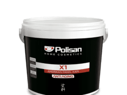 X1 Amerikan Panel Kapı Boyası