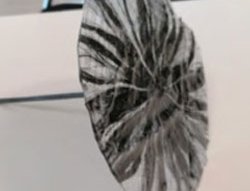 Tekno Ankraj T Karbon Fiber T Ankraj