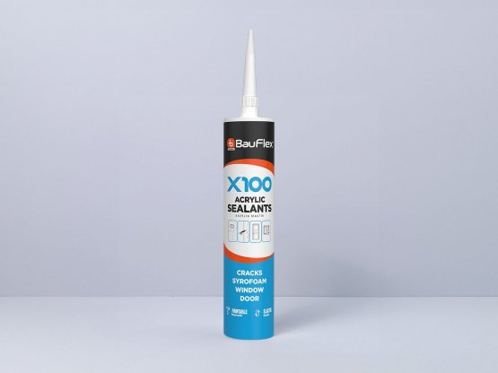 Bautech X100 Silikonize Mastik