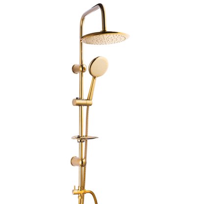 SİYAM BEGONYA GOLD TEPE DUŞ SETİ