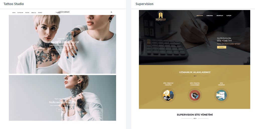 WEB TASARIM ÖRNEKLERİ