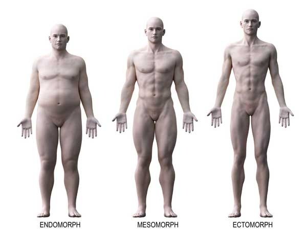 Vucut-Tipleri