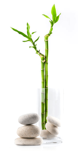 Aesthetic and Plastic Surgery Clinic Istanbul