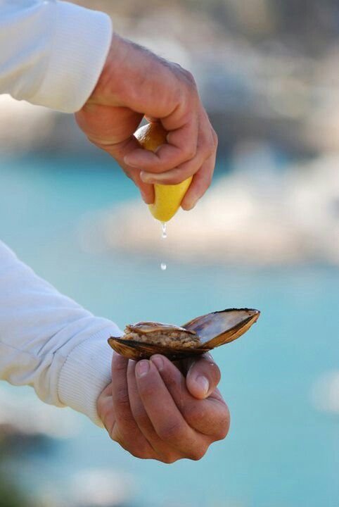 8adc99da0eb798f17e2d136de5ceb3c8