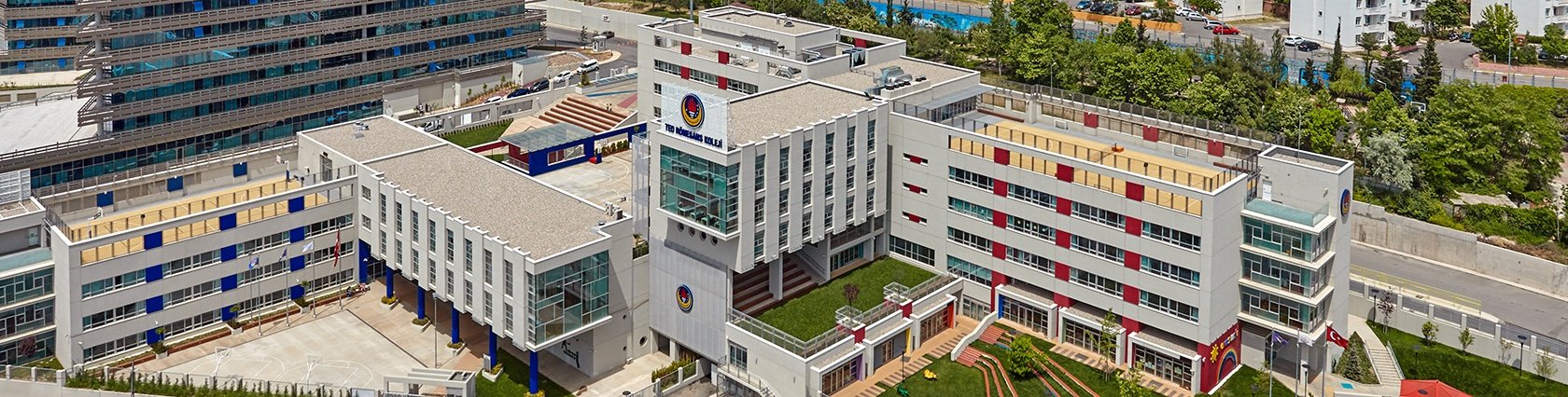 Ted Rönesans Koleji