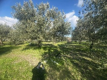 475463022_122106764126733761_738699989132626357_N