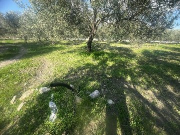 475461058_122106764006733761_3622127195219242127_N