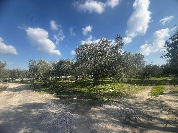 474621154_122106763868733761_4470376831856646372_N