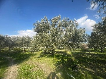 474836967_122106764054733761_872368373524957554_N