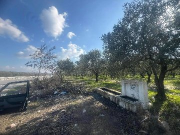 474700335_122106764024733761_4513302294814197072_N