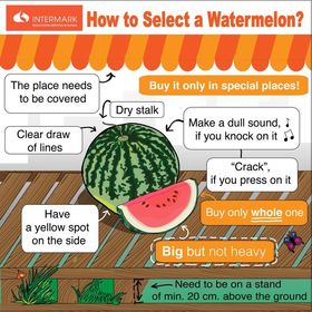 7f5179efdc6bae49659f740fa3413481