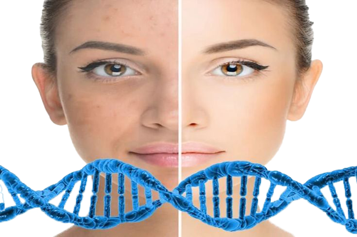 Kök-Hücre-Tedavisi