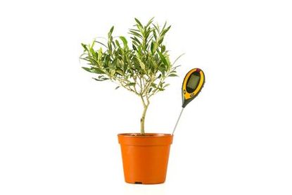 Nem ve Sıcaklık Ölçer: Hassas Ölçüm Cihazları