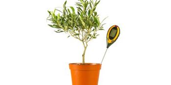 Nem Sıcaklık Ölçer