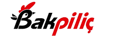 bak-piliç