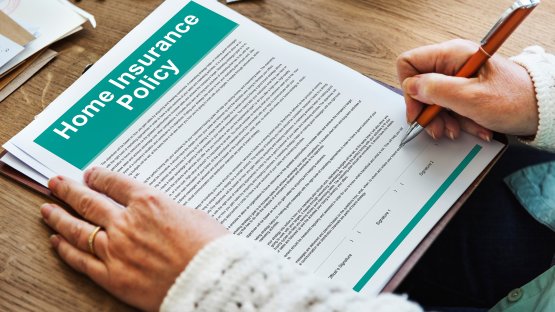 This Year in the Real Estate Market