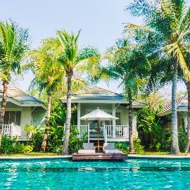 55554699_M_Normal_None