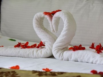 Neva Termal Hotel Resimler