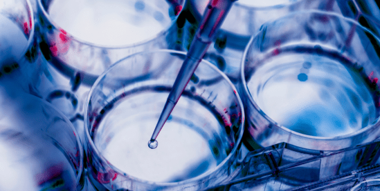 Klor Ölçüm Cihazları Kullanım Alanları