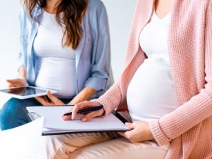 THE ISSUE OF SURROGACY