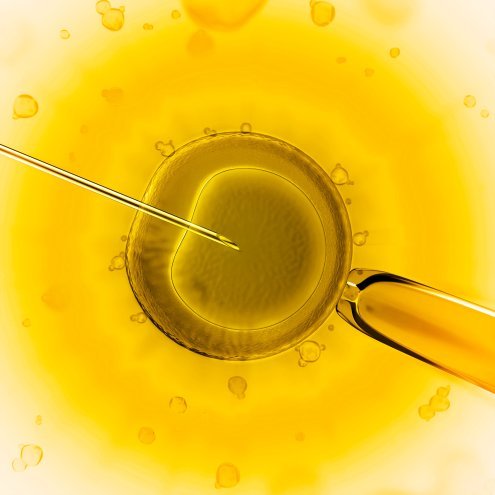 WHERE IS THE BEST IVF CENTER?