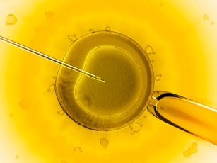 WHERE IS THE BEST IVF CENTER?
