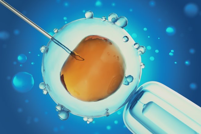 EGG DONATION IN CYPRUS