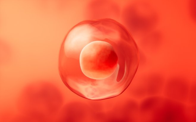 CENTER THAT PROVIDES EGG DONATION