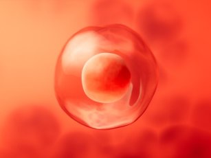 CENTER THAT PROVIDES EGG DONATION