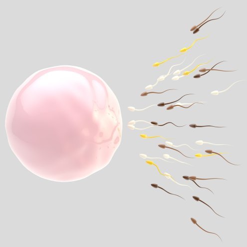 IVF CENTRE IN CYPRUS