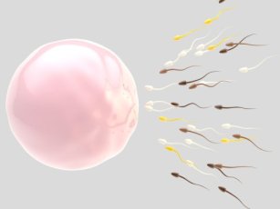 IVF CENTRE IN CYPRUS