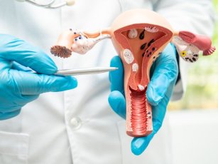 WHERE IS THE BEST IVF TREATMENT DONE?