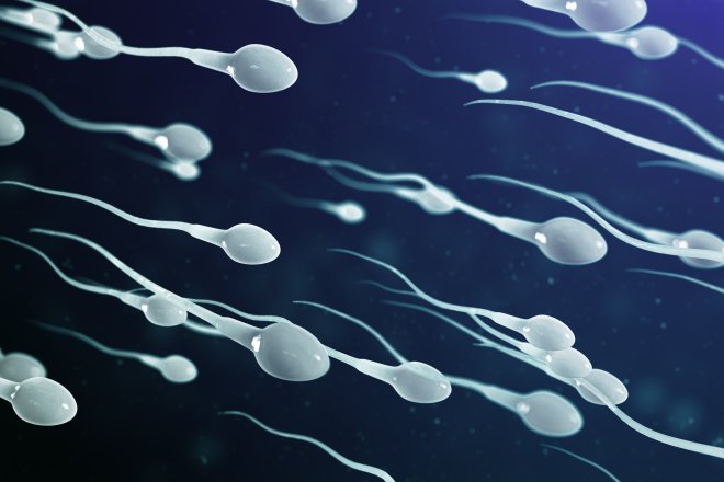 SPERM DONATION IN CYPRUS