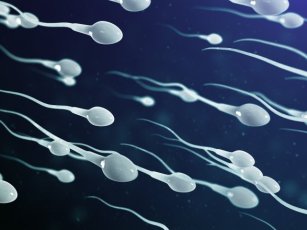 SPERM DONATION IN CYPRUS