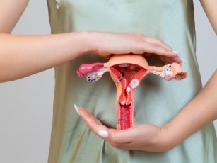 SURROGATE MOTHER SPECIALIST